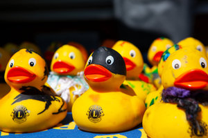 enten