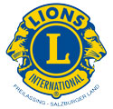 Lions Logo Small 1